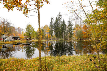 View of the pond near Ludwingswinkel with the surrounding autumnal landscape. Nature at the pond.

