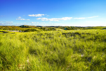 Obraz premium View of the west beach on the North Frisian island of Sylt. Landscape on the North Sea coast. 