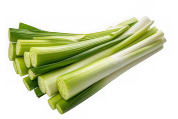 Fresh green lotus stems cut and arranged