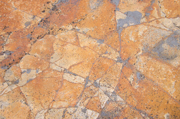 Surface of a rock. Integral Natural Reserve of Inagua. Gran Canaria. Canary Islands. Spain.