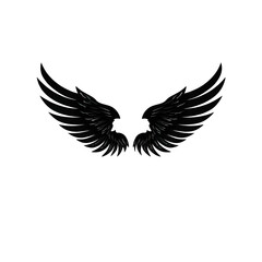 Obraz premium Dark background with a pair of faint wings isolated on transparent background.png white backgroundparent background