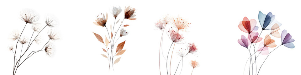 Delicate ethereal floral elements arranged in a serene balanced composition with a soft natural color palette