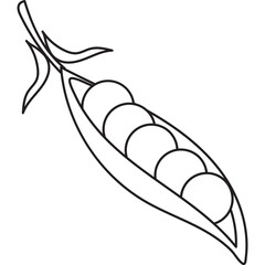 Vegetable Line Icon