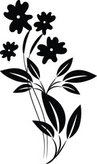 Elegant Black and White Floral Design Element for Decoration
