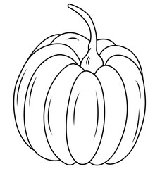 Cute cartoon hand drawn vector pumpkin coloring page.