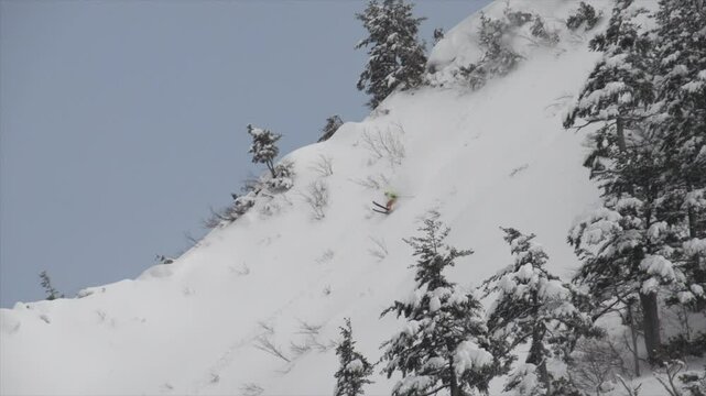 Telemark ski Hakuba Japan Freeride