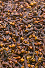 A spice of dried cloves, herbal medicine plant