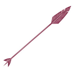 Contemporary Arrow with Clear Vector Lines in Rich Isolated on Transparent Background