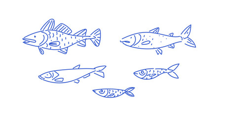Set of North Sea fishes including haddock, saithe and herring drawn in simple linear style. Hand-drawn illustration of sea food.