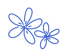 tropical flowers drawn in simple linear style. Hand-drawn floral doodle.
