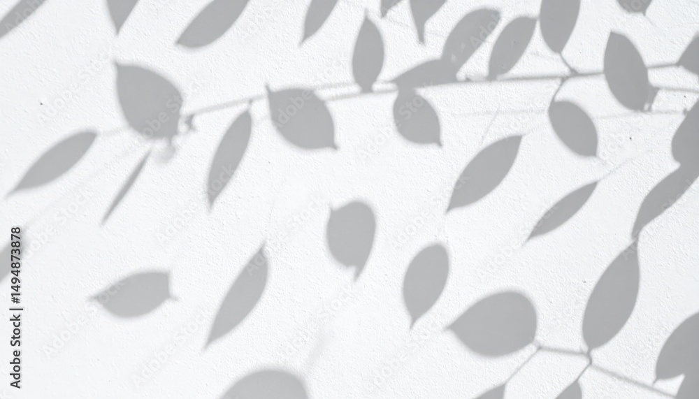 Poster abstract design of leaf shadows on a light surface.