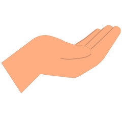 An isolated human hand gesture vector or icon, perfect for business and human body concepts