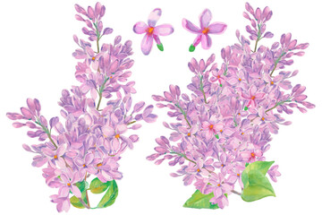 Lilac flower. Set of lilac branches and flowers watercolor style isolated on white background. A collection of lilac flowers and twigs. For design elements, templates, wedding invitation