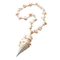 Elegant Shell Necklace with a Graceful Cascade of T Isolated on Transparent Background