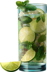 Mojito in Tall Glass