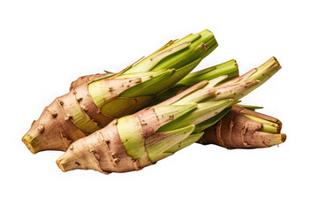 Fresh organic fuki shoots vegetable harvest