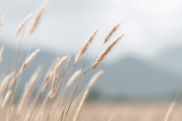 Fototapeta premium serene background for website homepage featuring thin lines and soft blurred colors