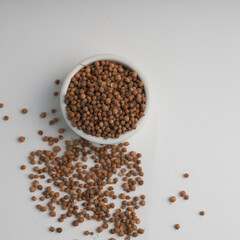 Coriander seeds, cooking ingredients, seasoning, spices