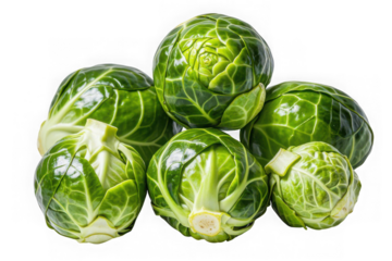 Fresh green brussels sprouts closeup on black