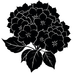 : Black Silhouette of a Hydrangea with Round Floral Head