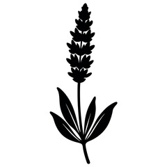 Lavender Silhouette: A serene silhouette of a lavender flower, evoking tranquility and natural beauty. A perfect design for any project.