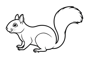 Squirrel line art vector, Squirrel animal icon vector 