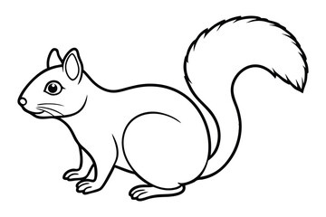 Squirrel line art vector, Squirrel animal icon vector 
