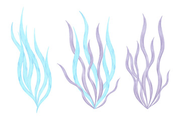Set of blue, purple seaweed. Watercolor illustrations. Marine simple underwater plants clip art. Hand drawn isolated art. Ocean flora plants for marine theme, cosmetology, children, tourism projects