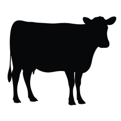 Silhouette of a cow standing still, isolated against a white background