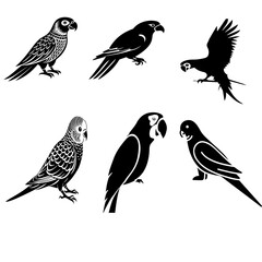 parrot black vector image