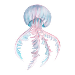 Beautiful colorful jellyfish with tentacles floating underwater. Blue and pink isolated design element. Sea life clipart. Hand-drawn watercolor illustration. For postcards, stickers, any design