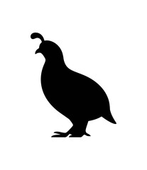 Quail bird silhouette vector illustration image