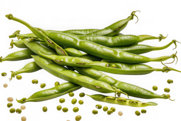 Fresh green mung beans in pods isolated on black