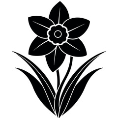 Obraz premium Silhouette of Spring Flower Daffodil with Tube Center