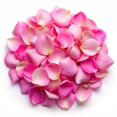 Obraz premium rose petals isolated on white