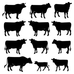 Set of black cow and calf silhouettes in various poses and profiles, isolated on white background. Ideal for farming, livestock, or agricultural design themes.