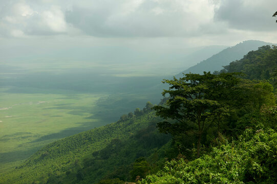Lush green valley with rolling hills under cloudy skies. Serengeti, Tanzania