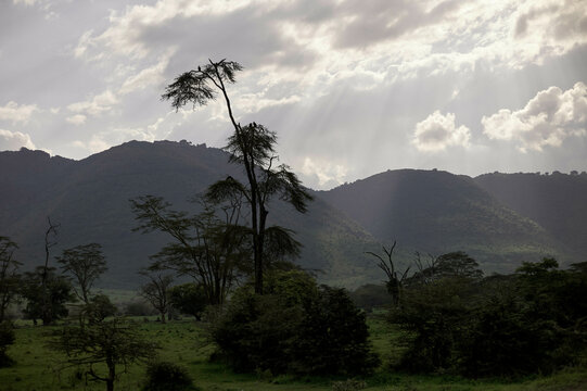 Sunrays filter through clouds over a lush green landscape with distant hills. Serengeti, Tanzania