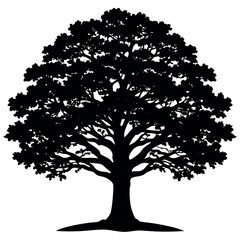 Vector tree silhouette of a single black oak with green leaves, an isolated nature plant illustration for spring or summer forest design
