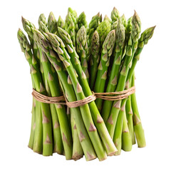 Fresh Bunch of Asparagus Isolated on White Background