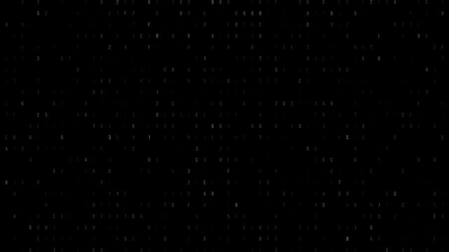 Intricate Black Matrix of Numbers and Letters Across the Expansive Digital Canvas