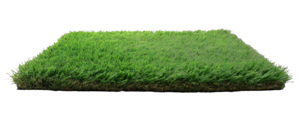 [Transparent Background PNG]Artificial Grass Panel for Landscaping