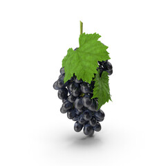 Bunch of Dark Grapes isolated on transparent background