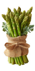 [Transparent Background PNG]Fresh Bunch of Asparagus in Burlap