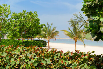 Dubai Islands Beach. Lush greenery, promenade, and sea view. A vibrant, new beach destination for Dubai tourism, lifestyle, and Dubai weekends