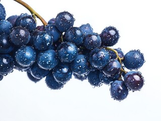 A bunch of fresh purple grapes with water droplets, isolated on a white background, soft lighting, high contrast, juicy and clean look, ideal for wine, fruit, or nutrition themes.