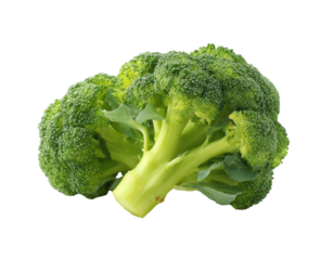 [Transparent Background PNG]Fresh Green Broccoli Head Close-up