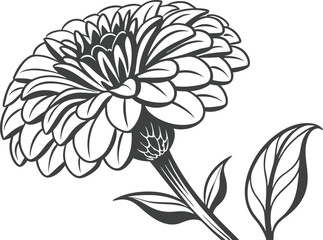 Zinnia Bloom Flower Set Design for Digital Crafts. Colorful Zinnia Flower Set Design for Printing Projects. Zinnia Bloom Design Set for Cricut and Handmade Crafts