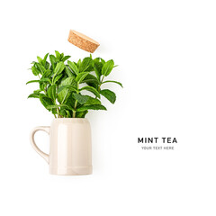 Mint leaves herbal tea and ceramic mug photography isolated on white background.