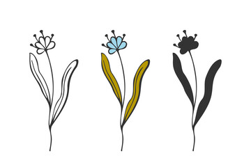 Set of flower in different style, doodle outline and silhouette hand drawing, logo, icon, botanical design element, isolated on white background.